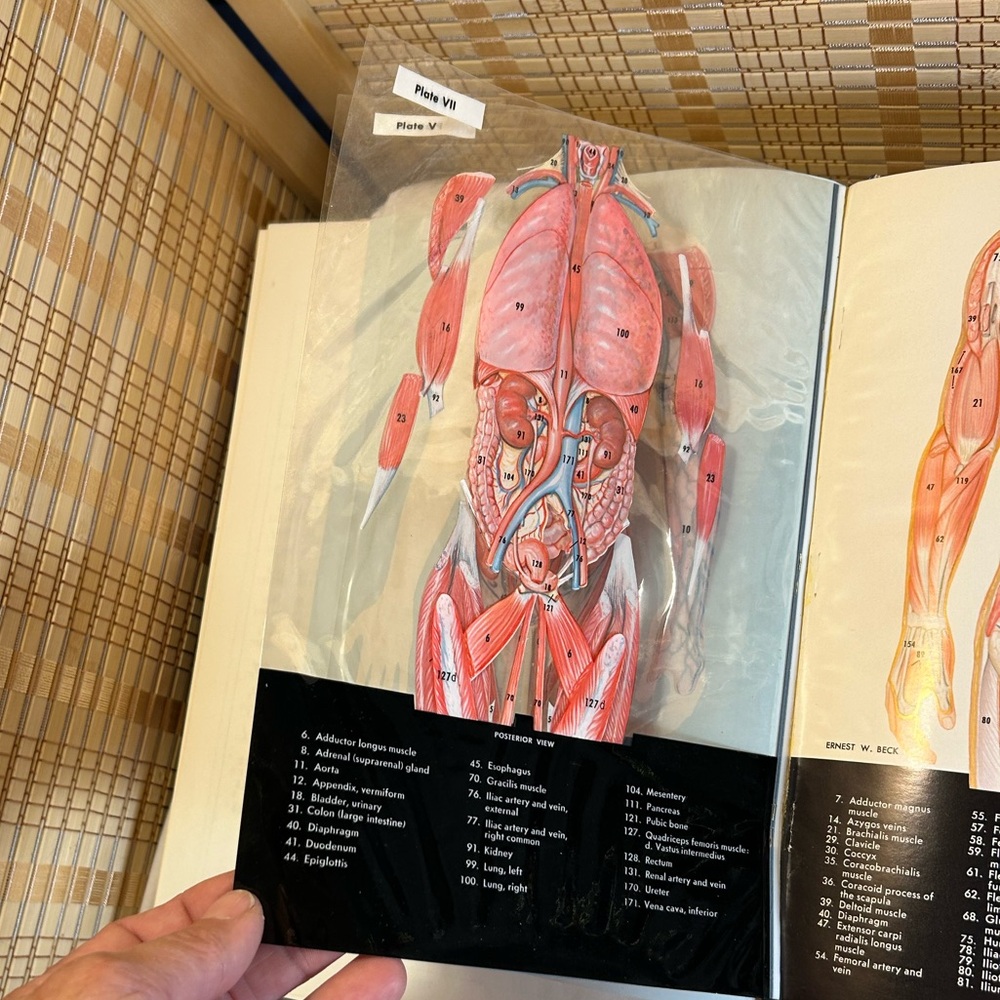 Illustrated Family Medical Encyclopedia